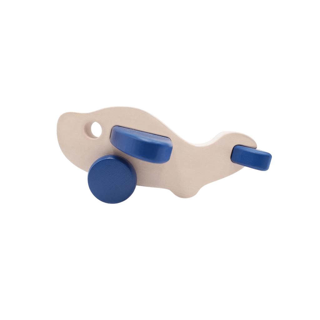 airplane-resized-Photoroom.png