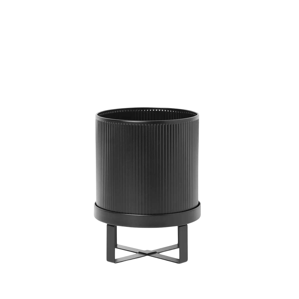 100203101_1-Photoroom-1.png