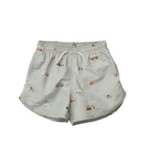 Aiden Swim Shorts: Vehicles/Dove Blue Mix