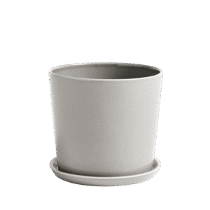 Botanical Family Set Large