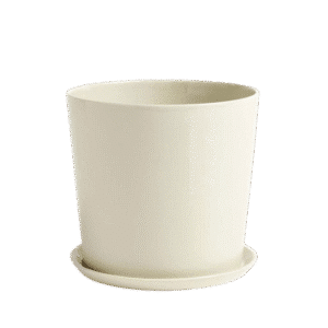 Botanical Family Set XL