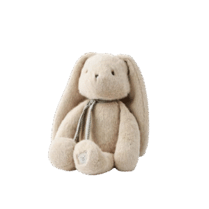 Berto Rabbit Teddy