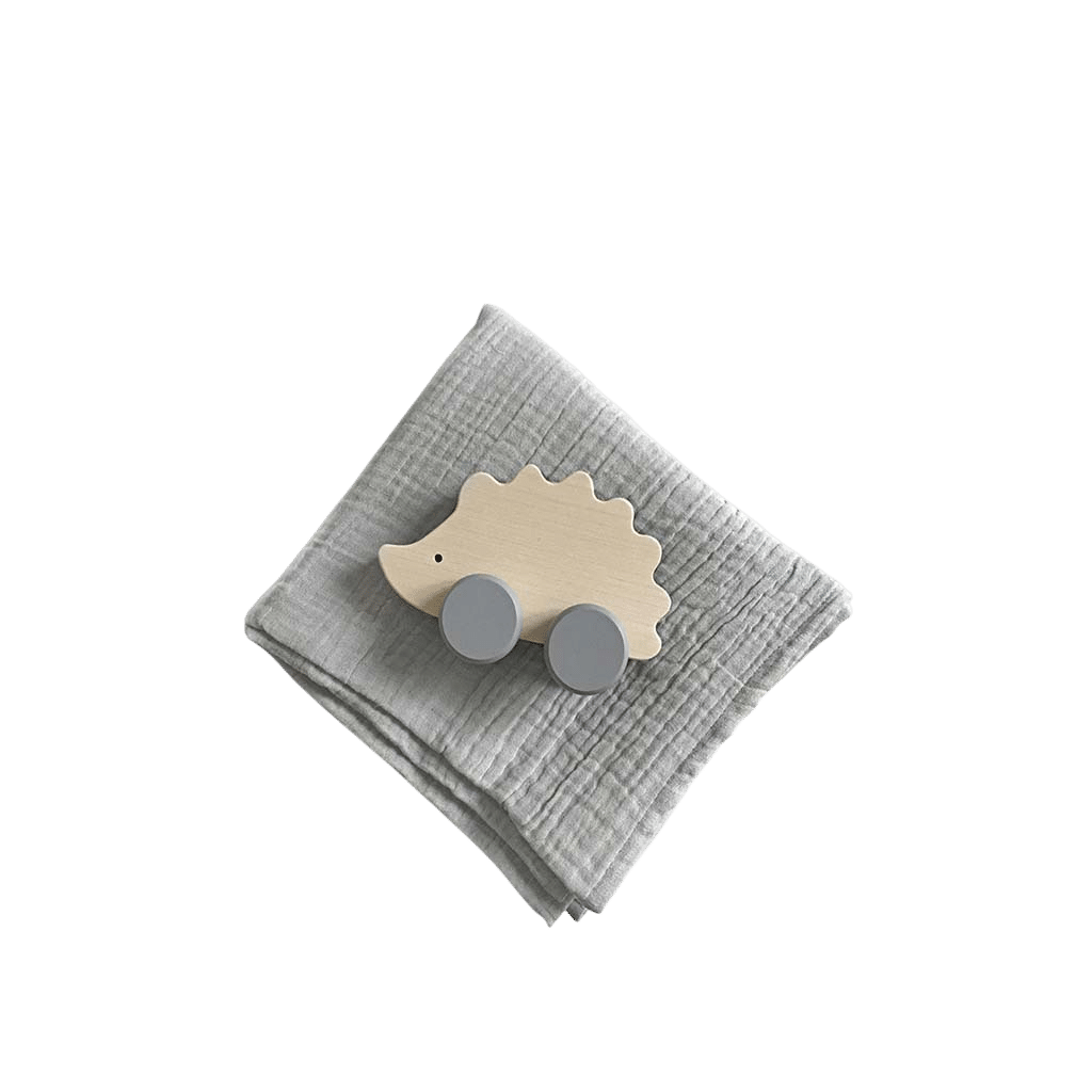 hedgehog-and-box-resized-Photoroom.png