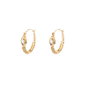 Cassiope-resized-Photoroom.png