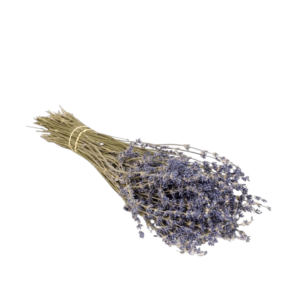DF-LAV-BL-Dried-Flowers-Lavender-Natural-Blue-resized-Photoroom.png
