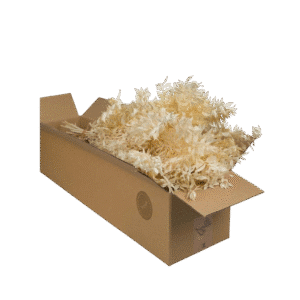 Dried Flowers - Ruscus Bleached