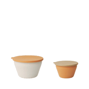 Dale Foldable Bowl Set