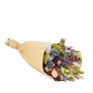 Dried Flowers Field Bouquet Large - Purple Dusk