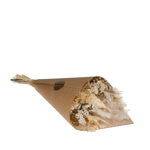 Dried Flowers Field Bouquet Medium Exclusive White