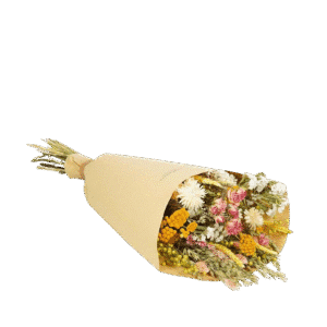 Dried Flowers  Field Bouquet Large - Pink Lemonade