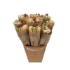 MM20-N-Market-More-Bouquet-Natural-resized-Photoroom.png