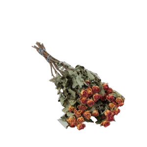 Dried Flowers - Spray Roses Natural Vintage Lila