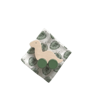 Dino Box + Bamboo Swaddle