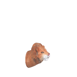 Hand-Carved Lion Hook