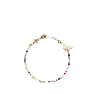 Fiesta Shell Bracelet