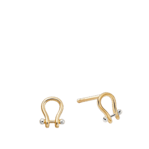 Gold & Silver Aurora Stud Earrings