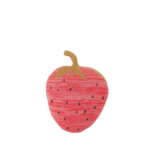 Fruiticana Strawberry Toy