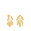Resized-Photoroom-2.png