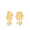 Resized-photoroom.png