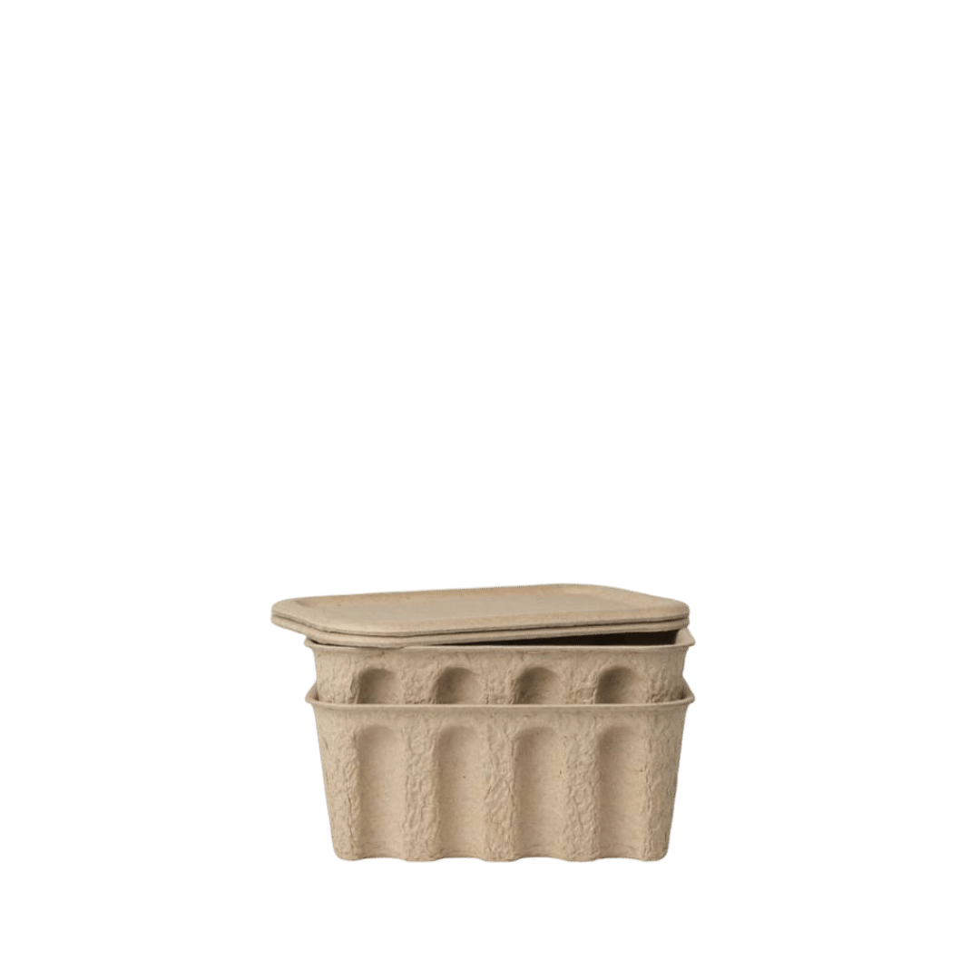 Resized-photoroom-148.png