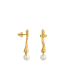Resized-photoroom-21.png
