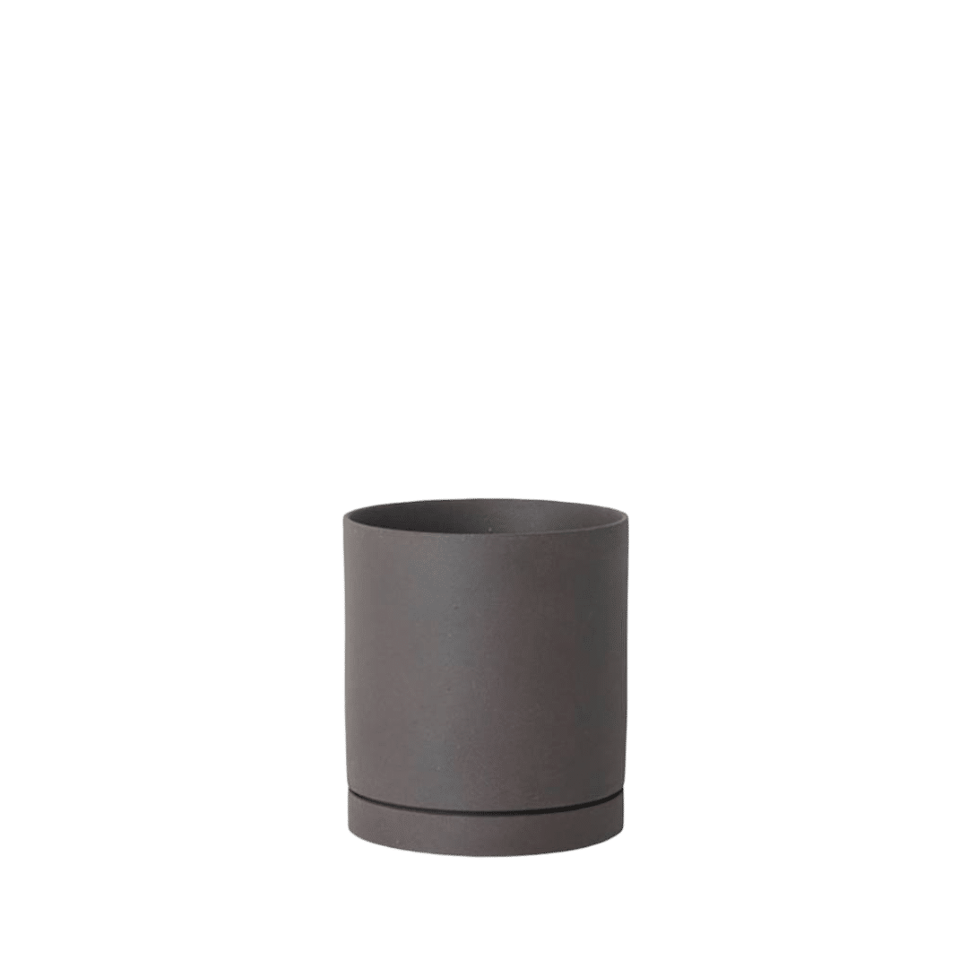 Resized-photoroom-223.png