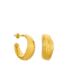 Resized-photroom.png